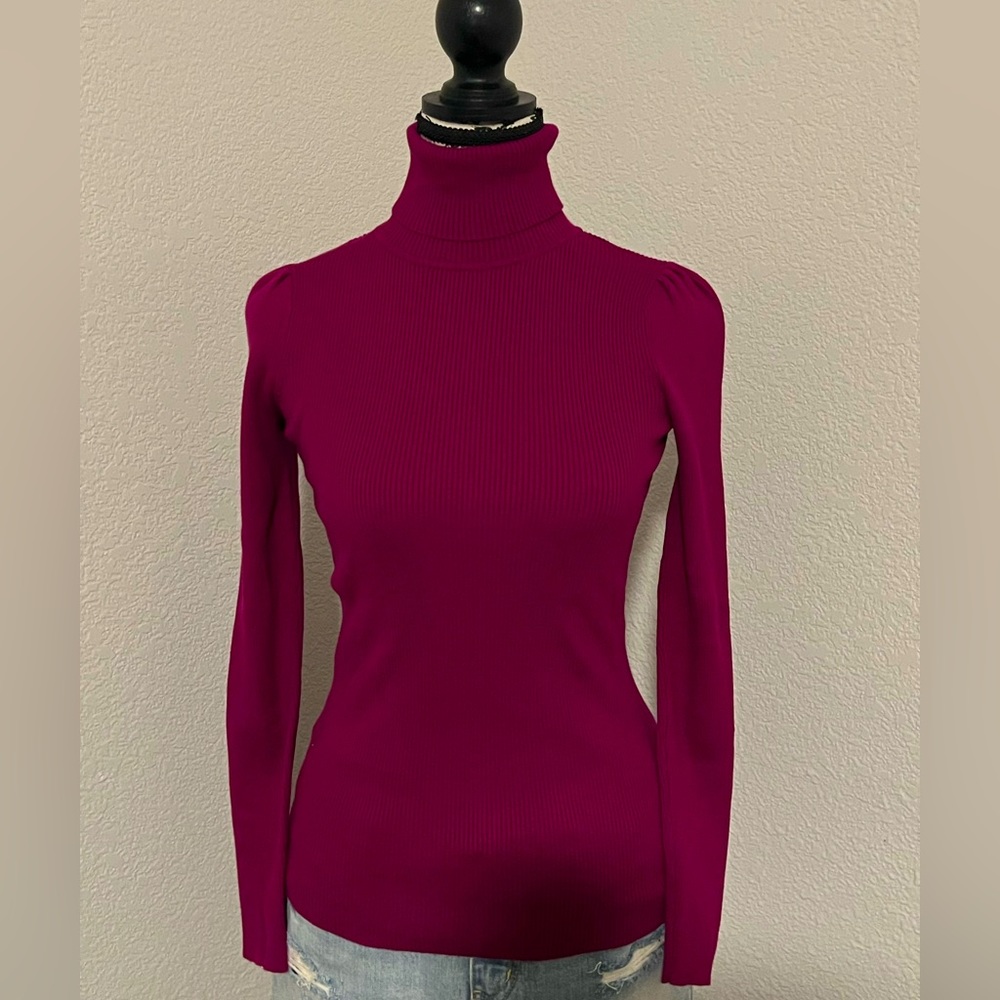 Ralph Lauren Turtleneck NWT